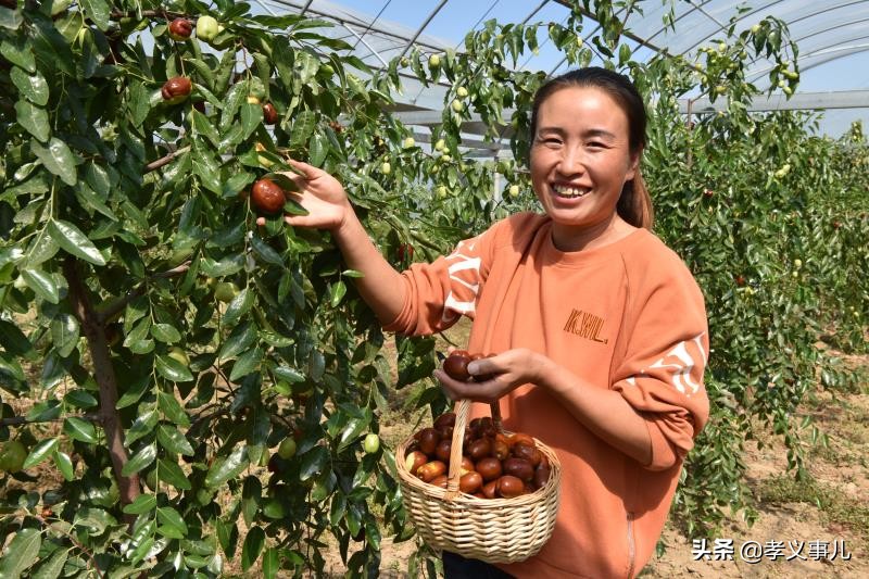 2021吕梁民营企业50强,吕梁民营十强排名