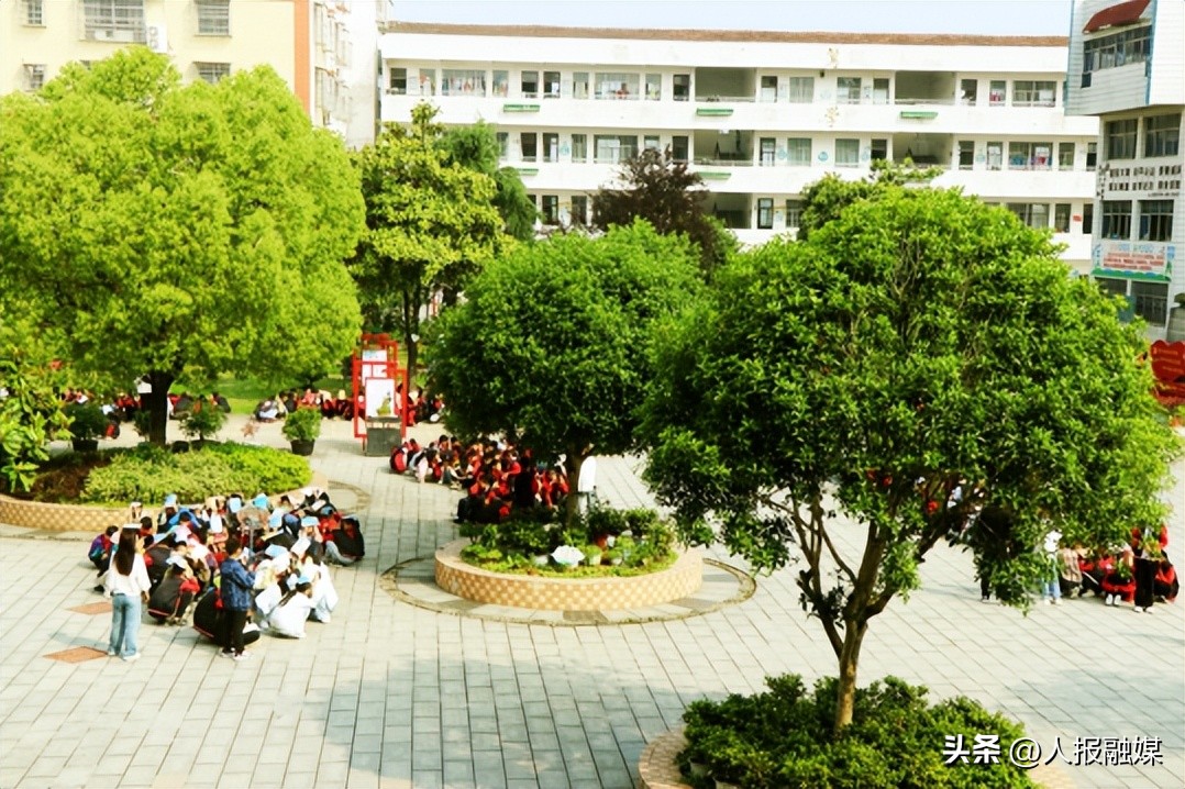 上洋镇上洋小学防地震演练,堤口路小学防震减灾演练新闻直播