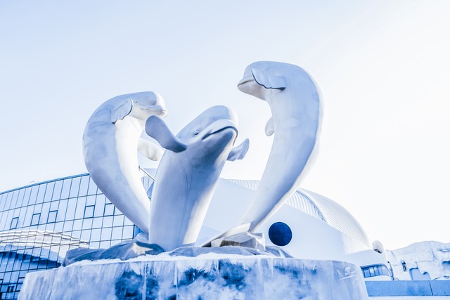 哈尔滨极地公园极地馆简介,哈尔滨极地公园极地馆门票