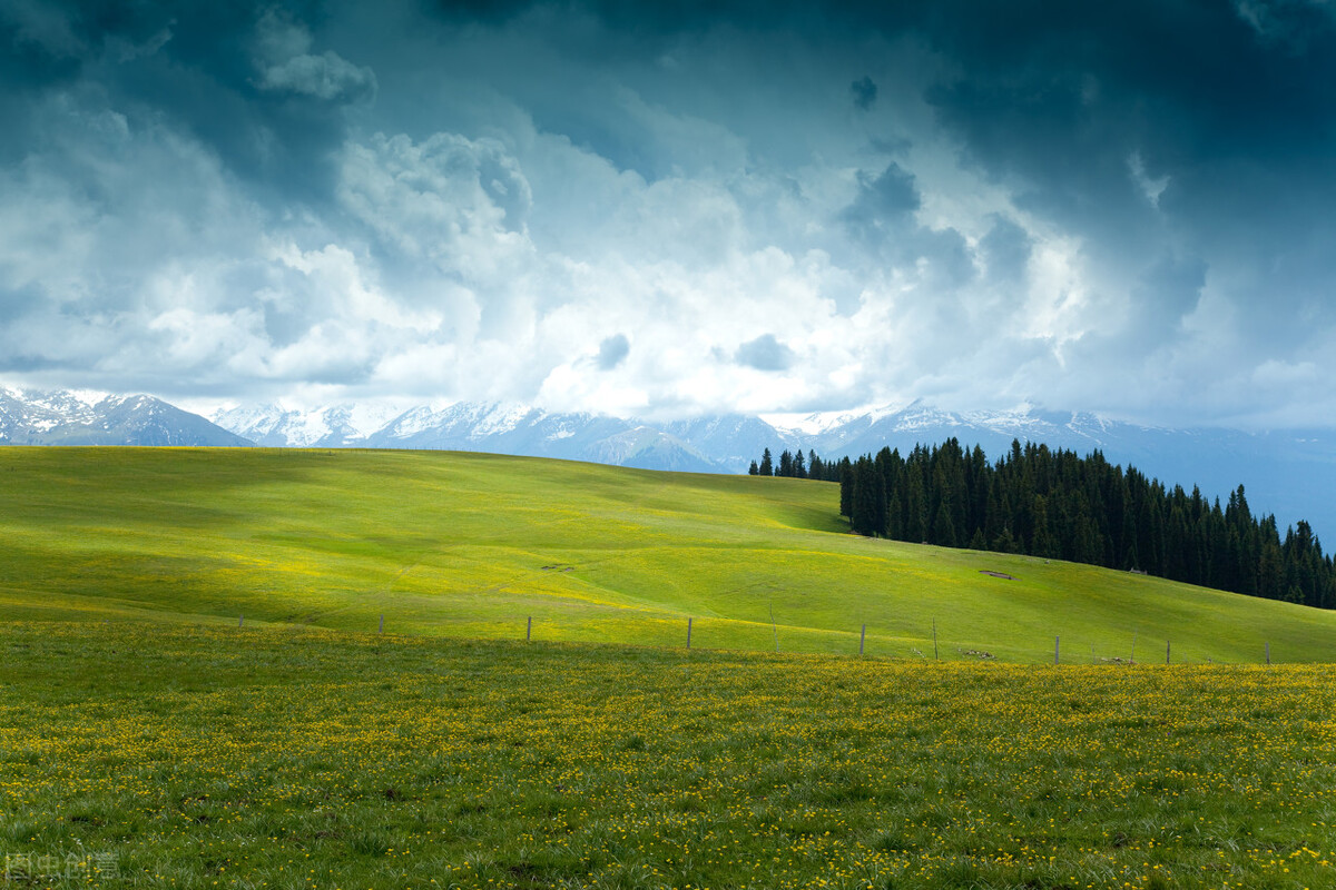 加拿大入境携带行李规定,加拿大目前入境流程及注意事项