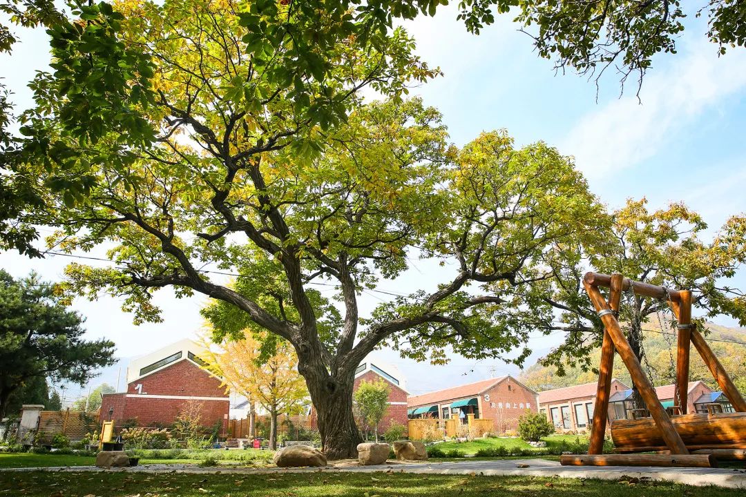 民宿推荐打卡网红酒店,北京小众网红打卡民宿