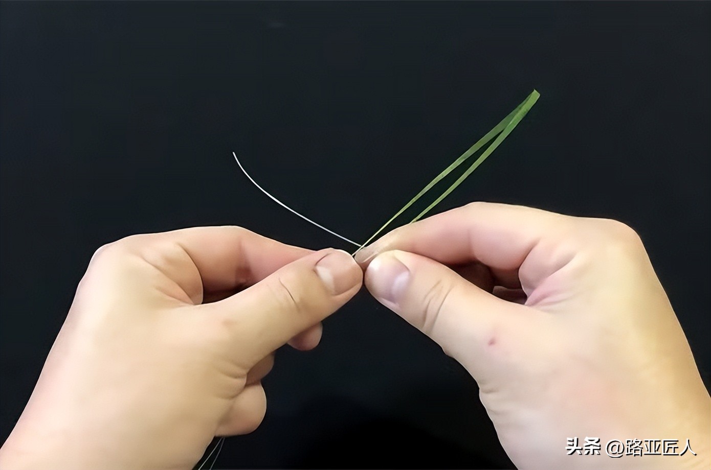 sc结的正确打法视频,sc结最简单绑法