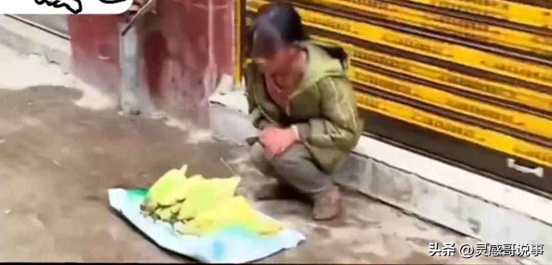 小女孩零用钱买猪肉,小女孩4元买猪肉被拒绝