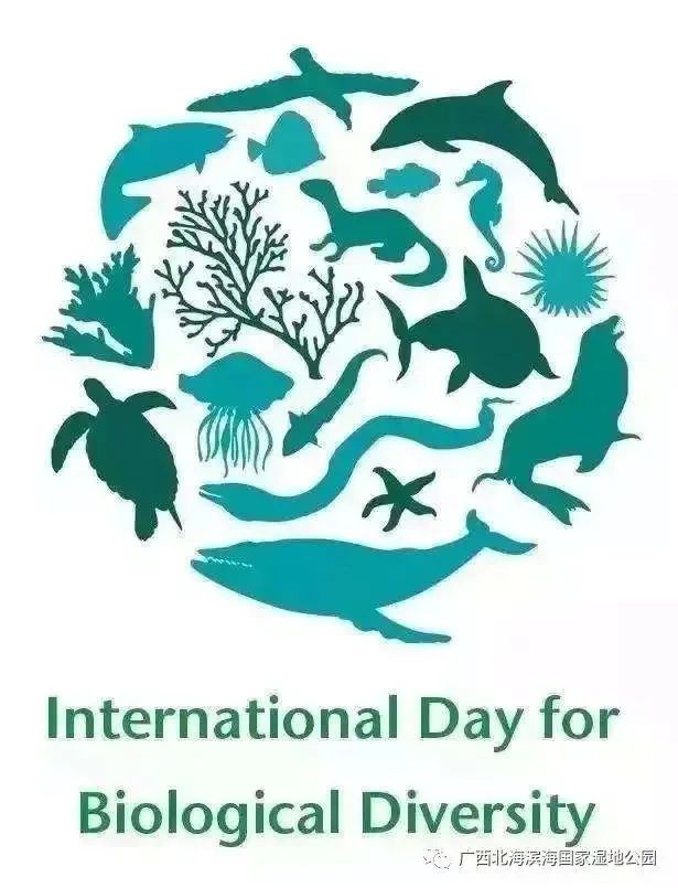 生物多样性与环境保护的关系,生物多样性和什么产业有关