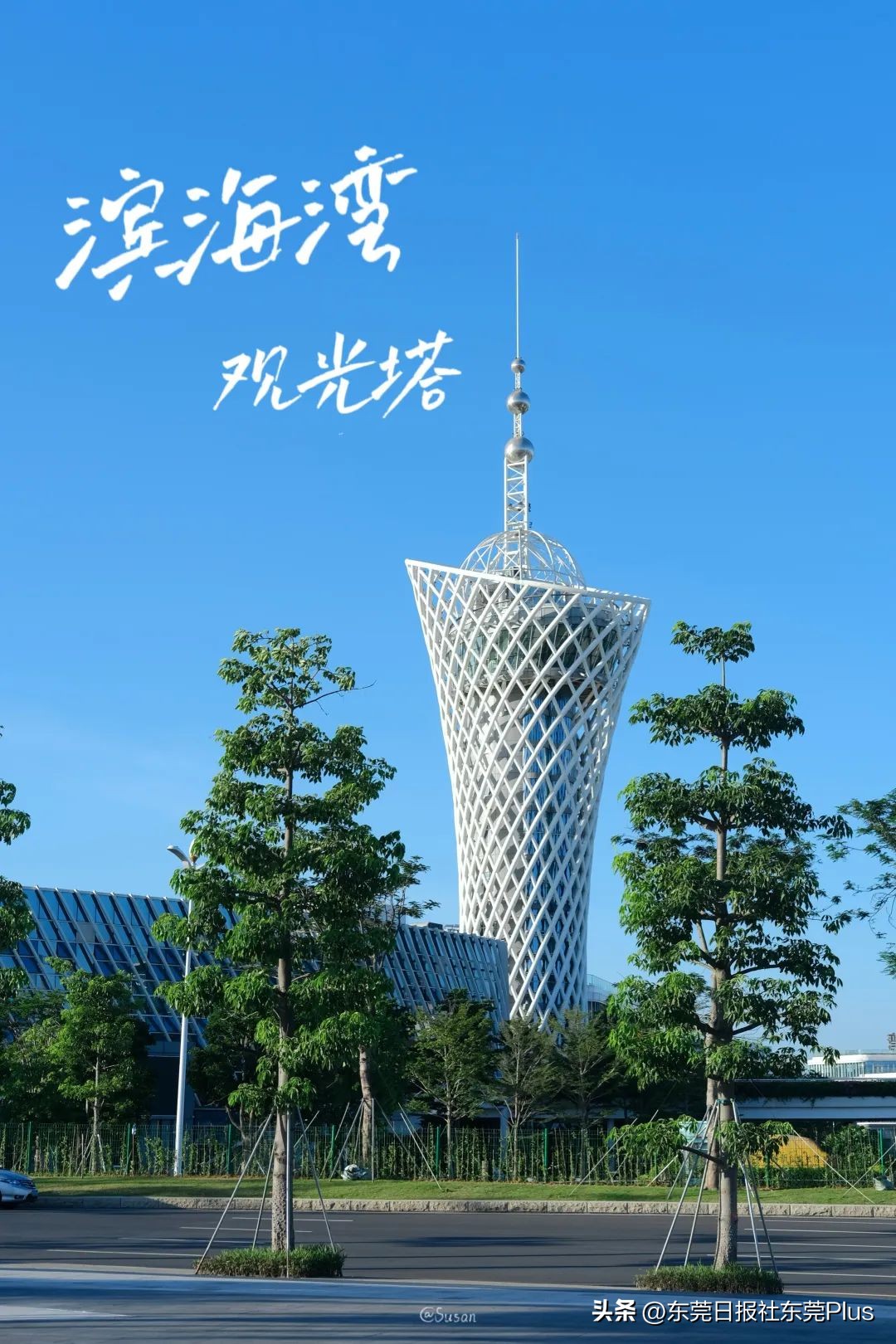 东莞可以看海和赏花的公园,东莞国庆看海游玩推荐