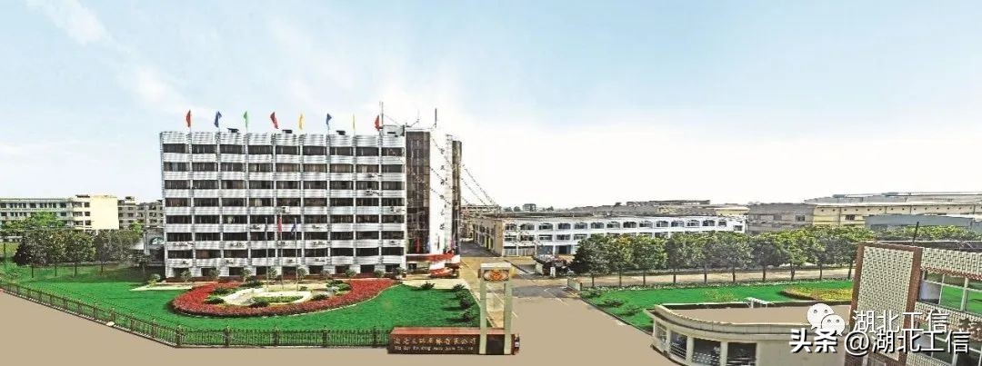 湖北制造业单项冠军,国家制造业单项冠军共多少