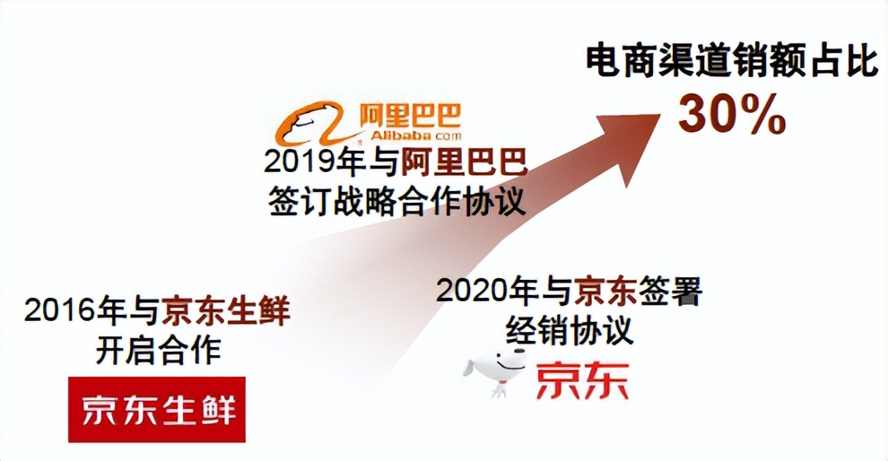 中金看海外|佳沛：奇异果领军品牌，“佳沛模式”助力基业长青