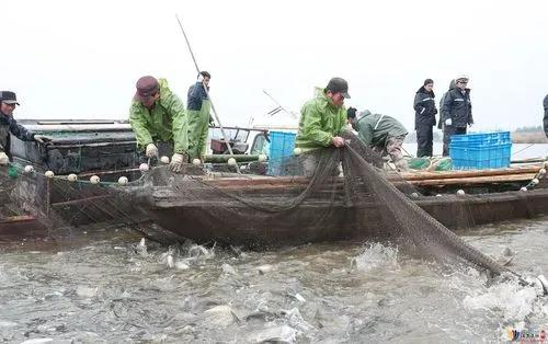 三观一致世界观,聊三观聊世界观