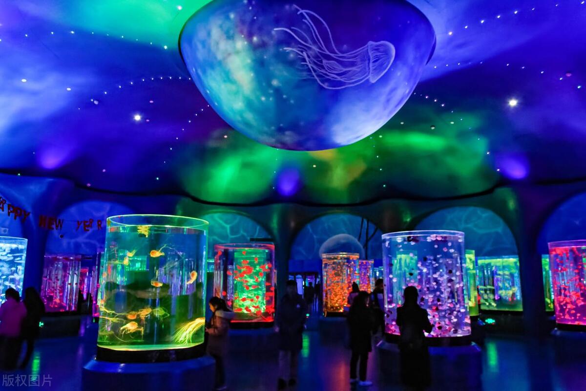 上海十大最好玩的景点,上海十大必去红色景点