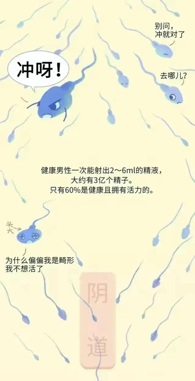 精子进入女性体内后，会发生什么神奇的事？漫画科普