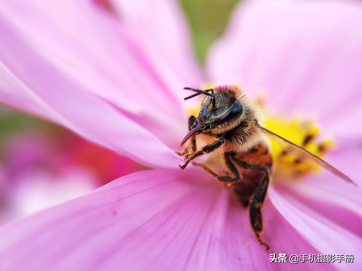 摄影修图技巧教程,修图没有自己的想法怎么办