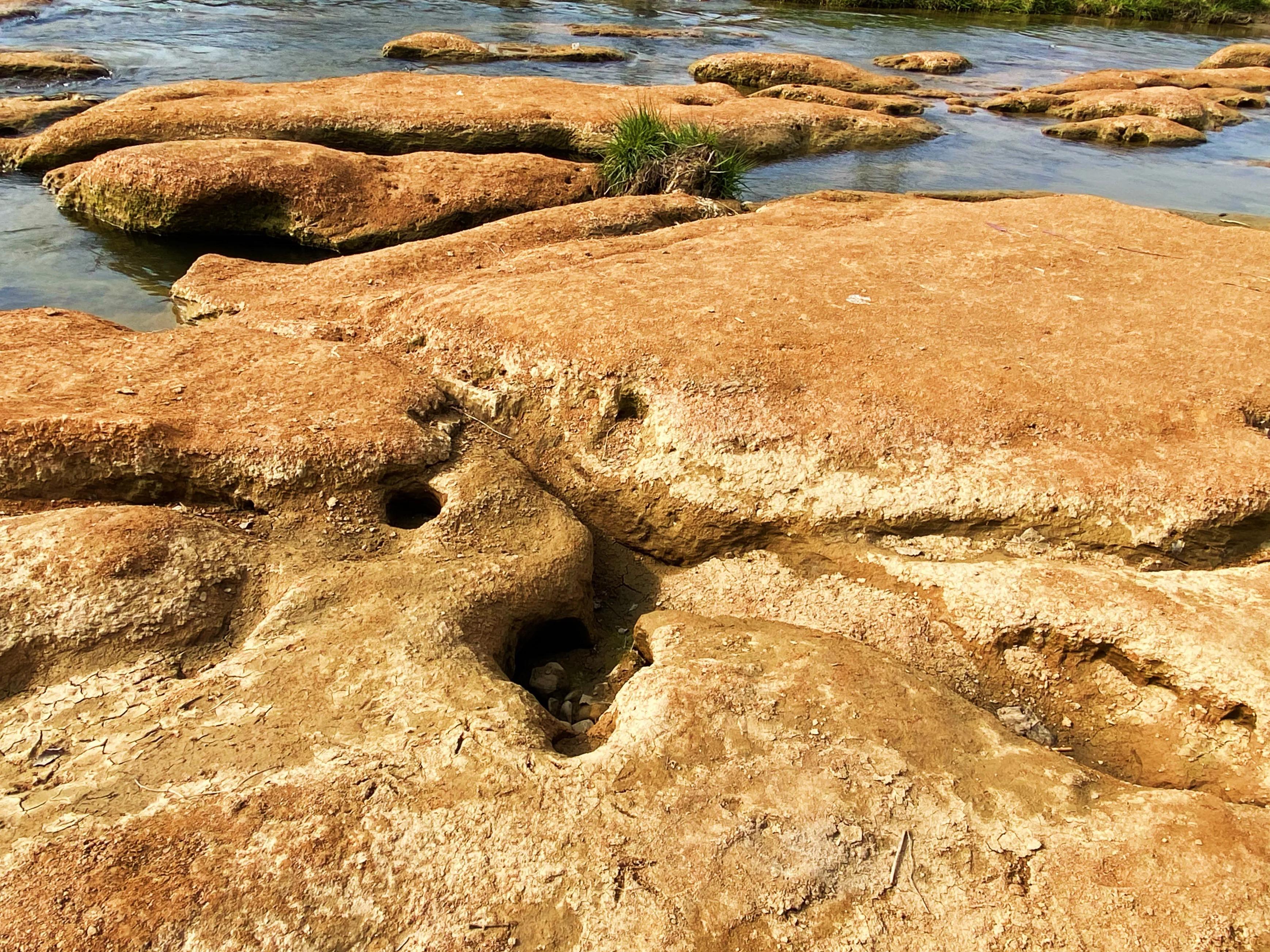 河边的景色真是太美了,文川河风景