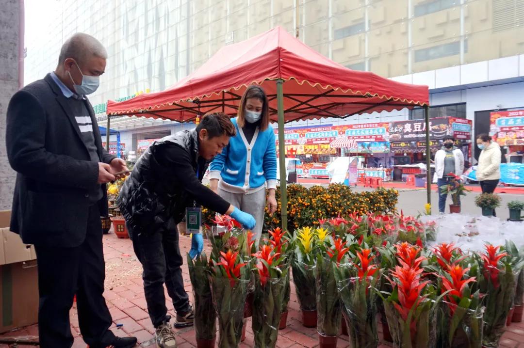 韶关浈江区首届兰花迎春花市,韶关浈江区迎春花市