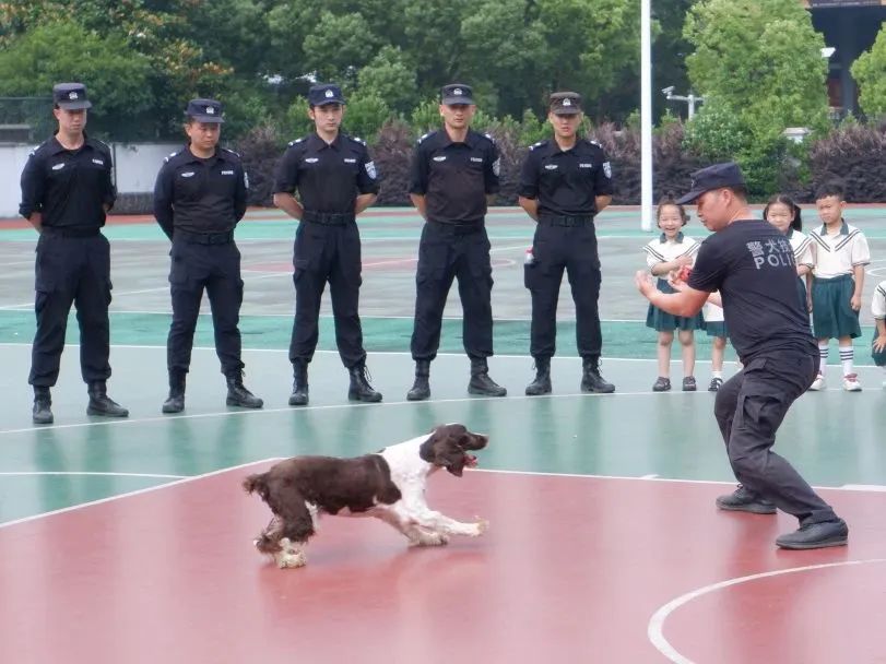 小萌娃应邀进警营警彩体验零距离,警彩少年平安校园