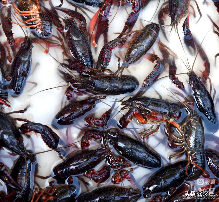 天津西关街老胡同大全,天津西关街美食糕点推荐