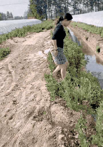 老婆包里发现的卡,老婆包里发现了啥