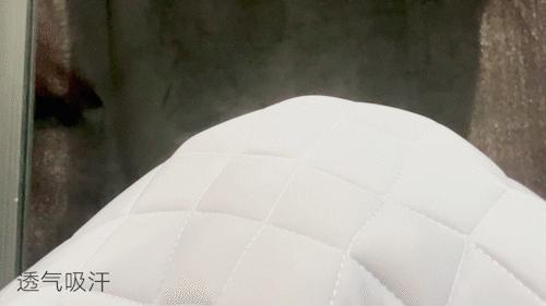 国产黑马花6年崛起！突破传统凉席，比篾席低4℃且能整晚凉爽