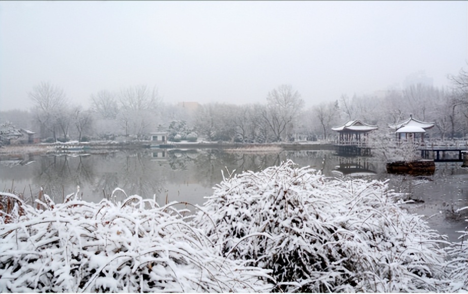 你不一定去过的苏州园林,江苏苏州那些美不胜收的小众园林