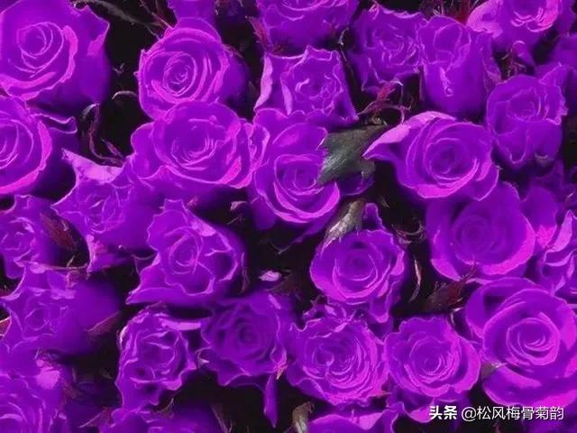 花儿朵朵开，香艳惹人爱，闻香觅花来，弄花香满衣