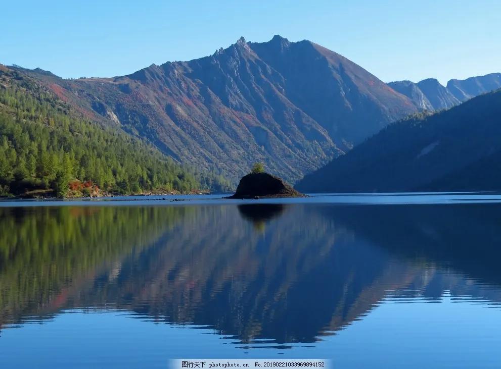真实大自然风景图片手机壁纸,花草树木壁纸高清风景图片
