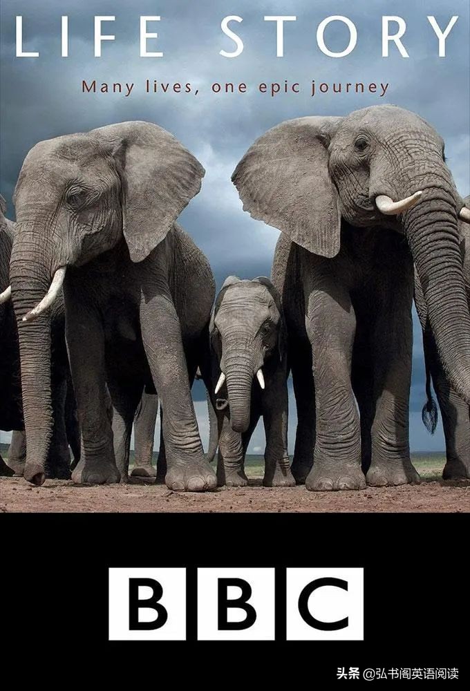 孩子暑期提高英语电影,适合孩子提高英语看的电影