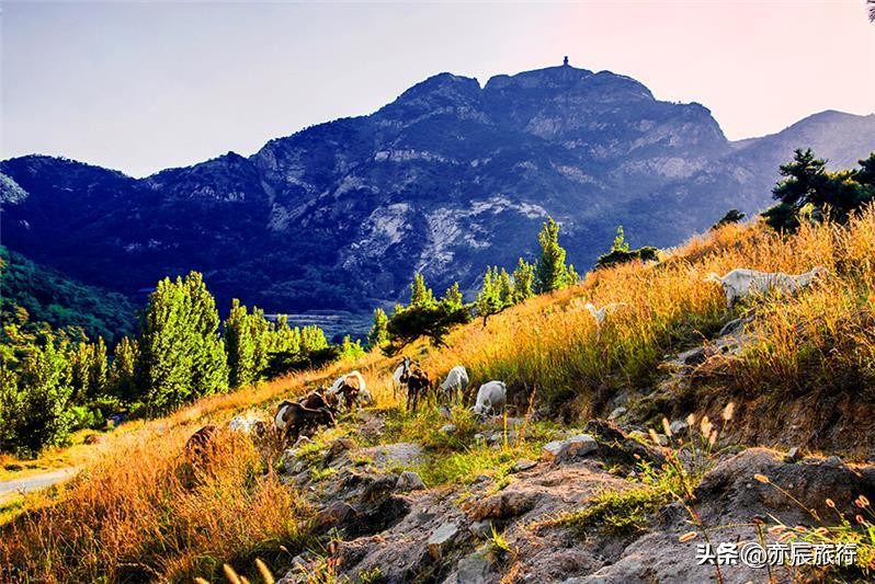 潍坊必去景点排行,潍坊市区旅游必去十大景点