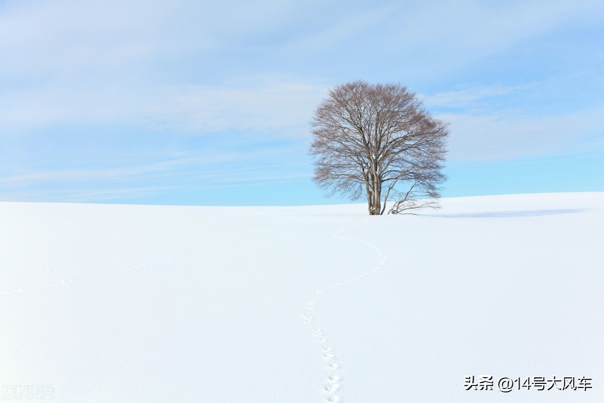 最有诗意的雪景最浪漫的雪景,富有诗意的长白山雪景