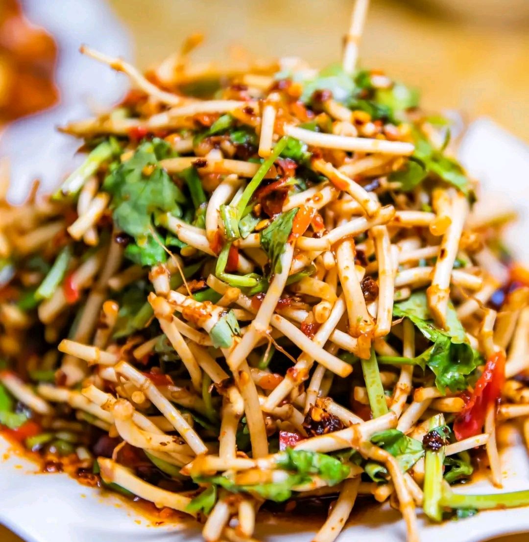 100种野菜大全图解,认识100种野菜视频大全完整版