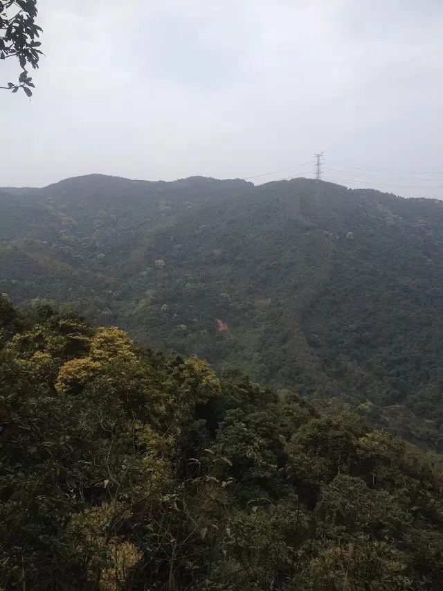 富人的成功之道,真正的成功之道图片