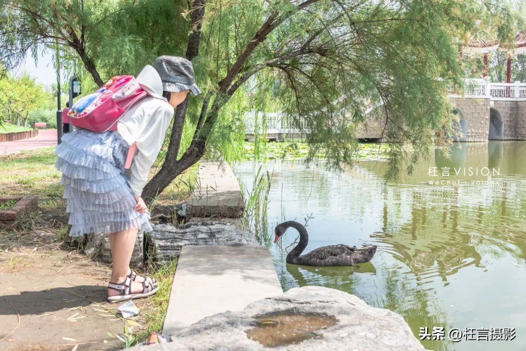 天津二宫开了吗,天津二宫改造后的景观