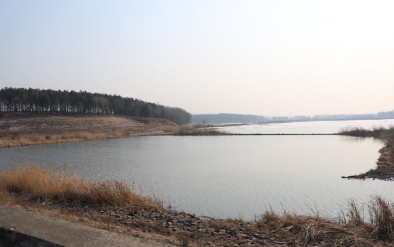 固铂at3可以装19寸的轮毂,更换长城炮备胎