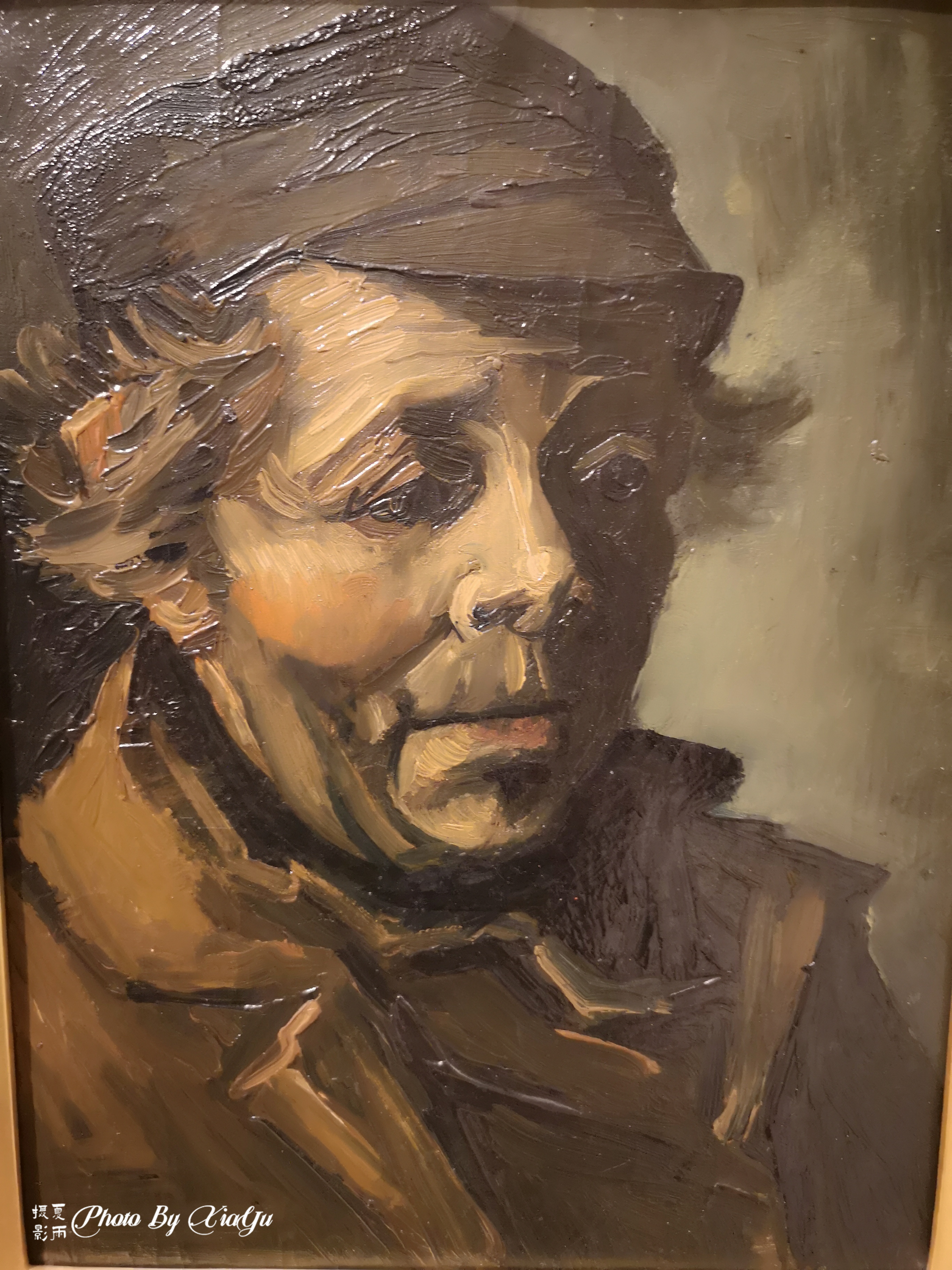 「畅游大洋洲」初识悉尼（五）