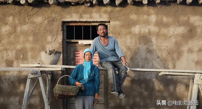 海清2022新剧,海清十部必看电影