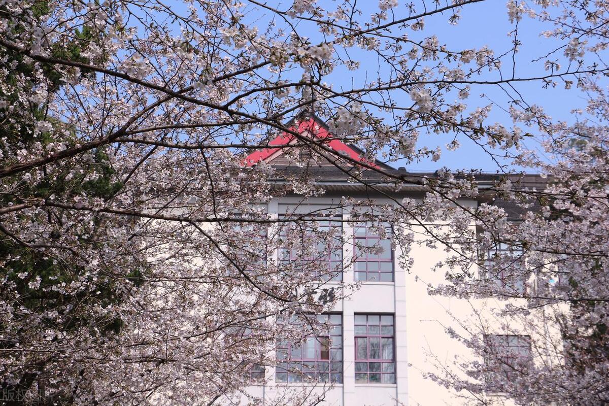 2023江苏选调生考试成绩排名公布,江苏省选调生2022拟录用名单