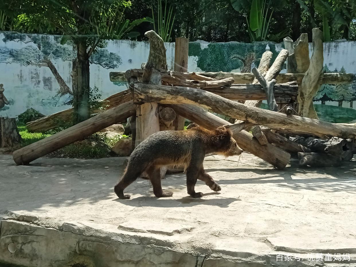 汕尾亲子游记,汕尾旅行攻略三天亲子游