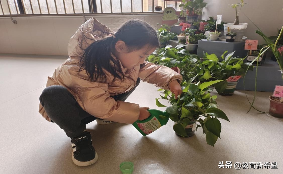 幼儿园24节气雨水主题活动,二十四节气雨水儿童活动