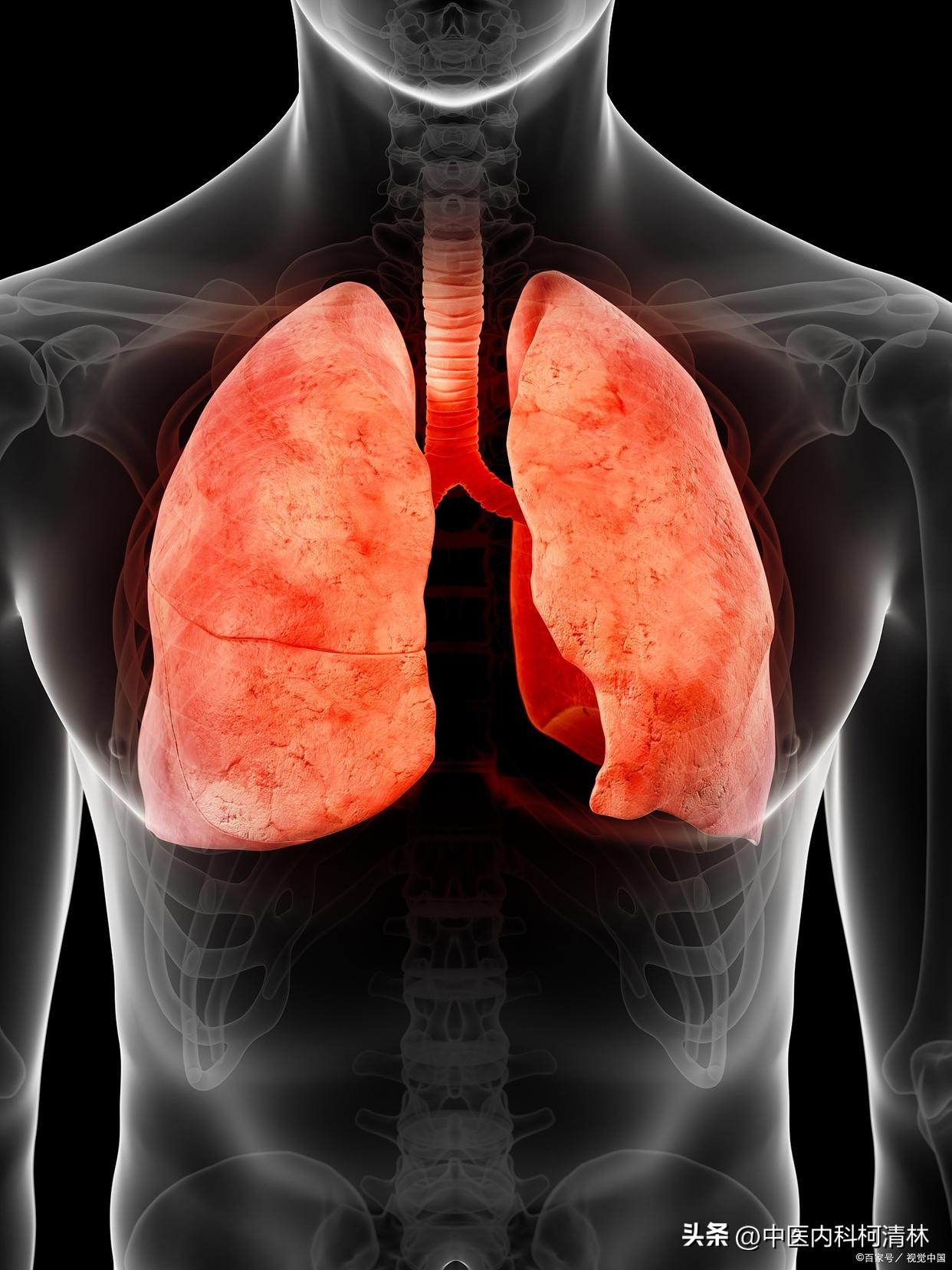 5mm肺实性结节多久随访一次,肺结节小于5mm怎么消除