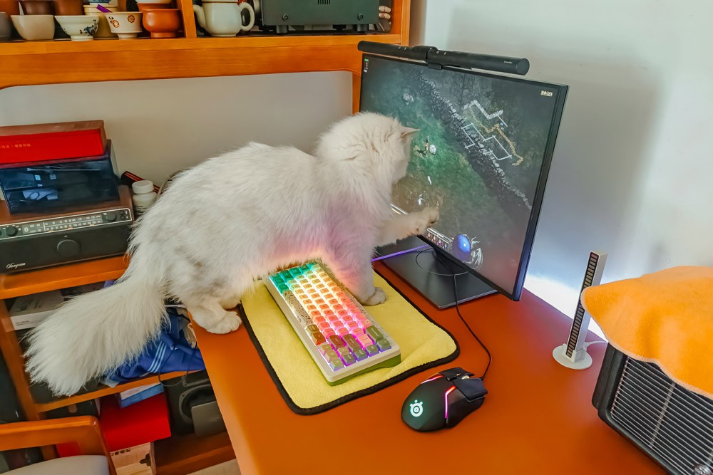 铲屎官福音:烘干箱不止高效快干大空间,JirpetF1首发体验有惊喜