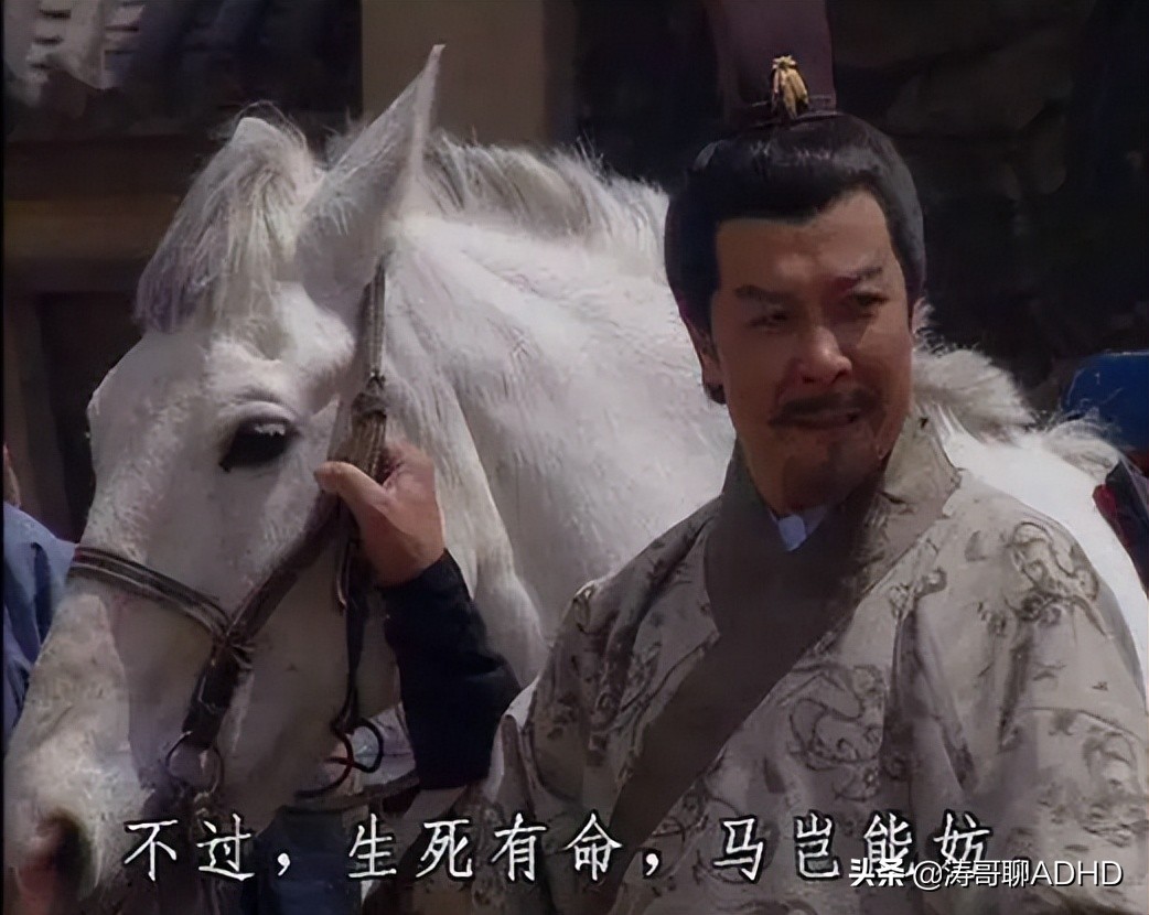 神奇！马的力量竟然可以治疗多动症（ADHD）——