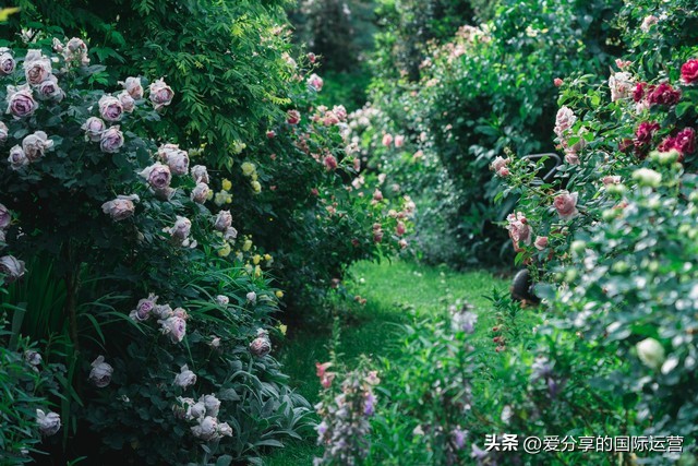 胎教唐诗三百首之第七首静夜思,胎教故事唐诗三百首爸妈讲