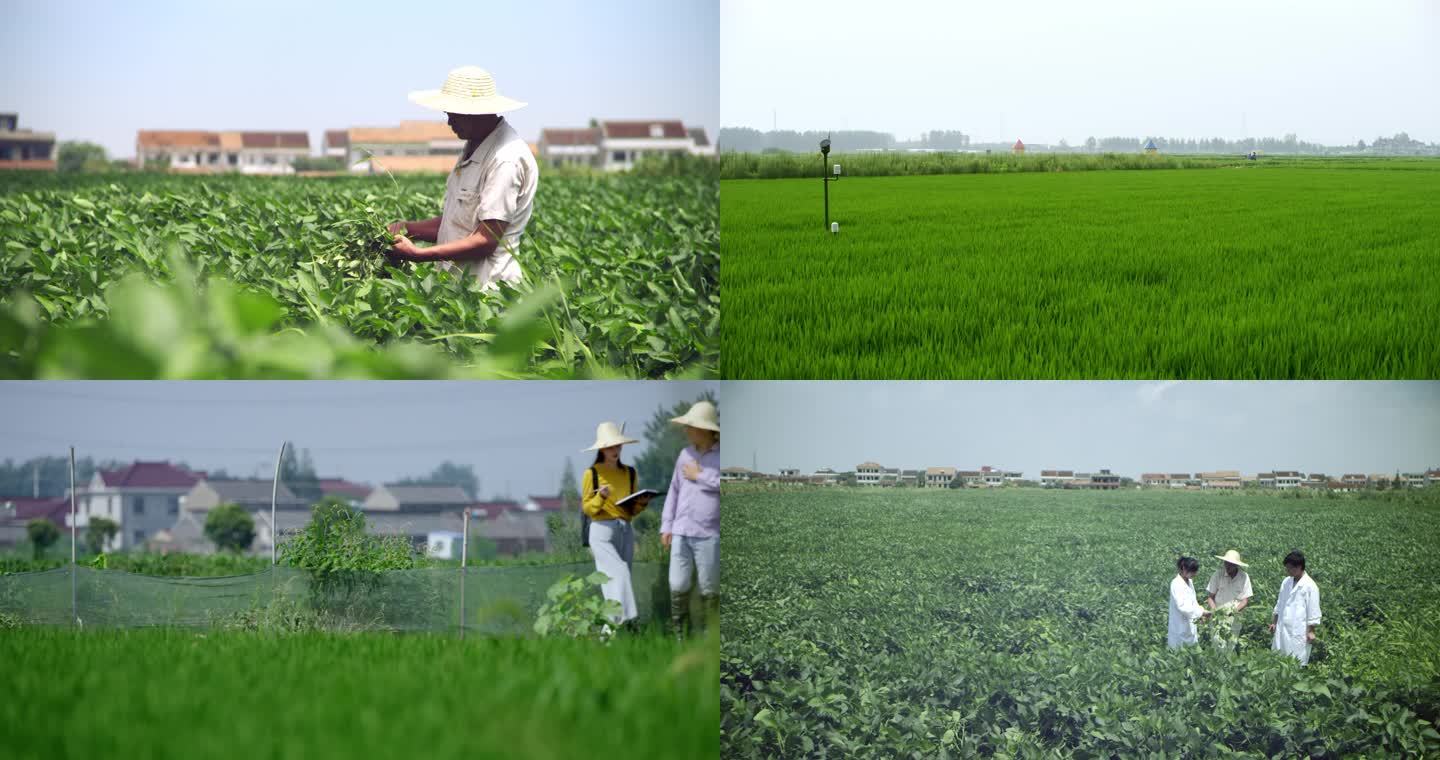 农村摆地摊卖什么东西最受欢迎,农村做什么生意赚钱快又稳