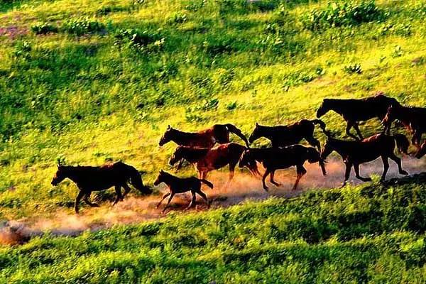 这条惊艳奇绝的公路,行走在天山脊梁上的最美景观公路