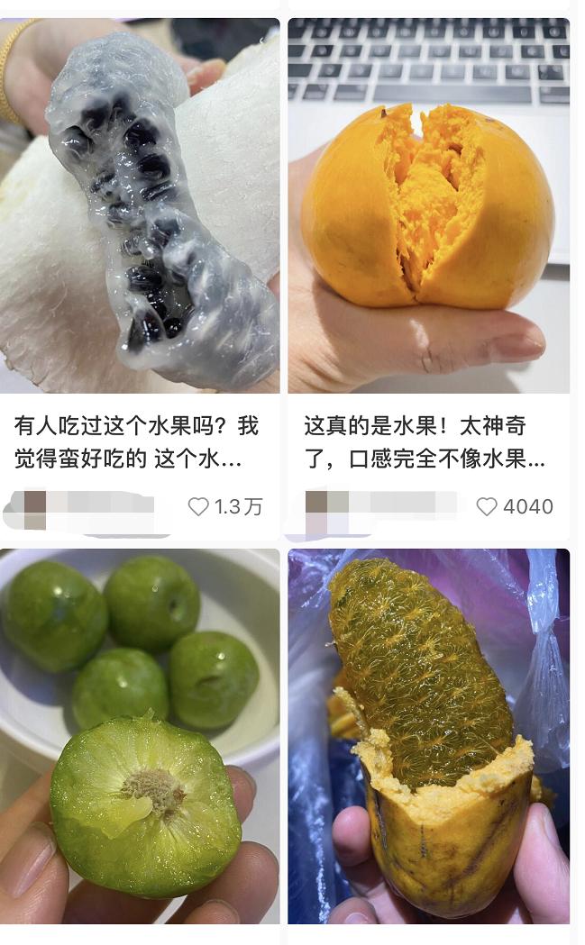 水果中的爱马仕多少钱,高端水果中的爱马仕