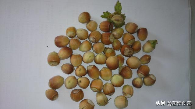 全国农产品地理标志查询,全国地理标志农产品