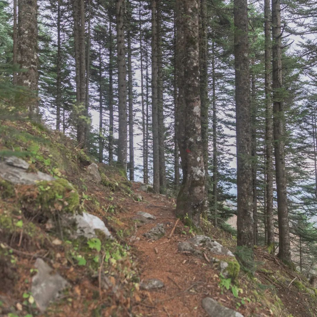 登太白山感受,太白山景区登顶拔仙台