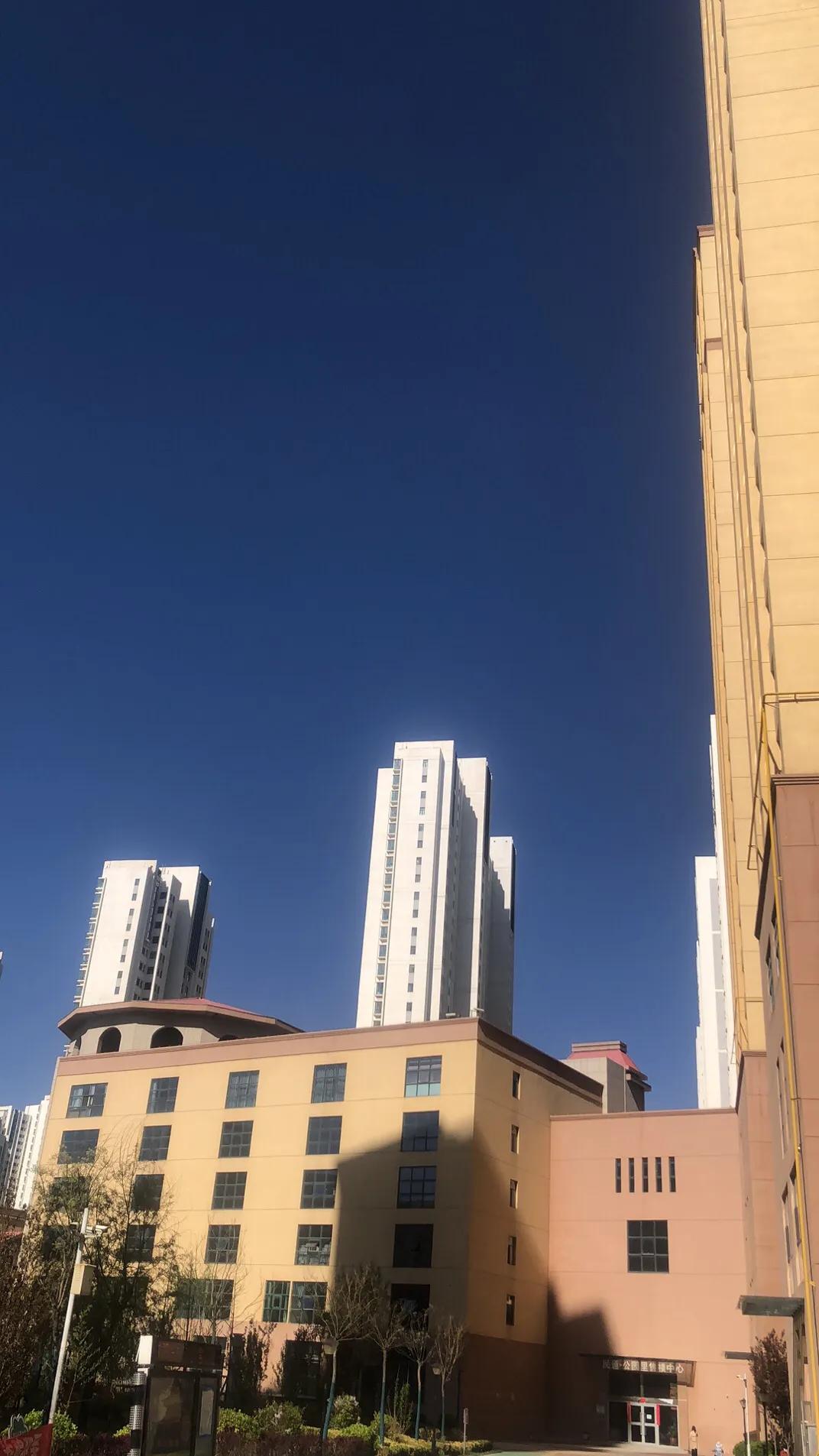 来西宁特产在哪买,在西宁游玩攻略日记