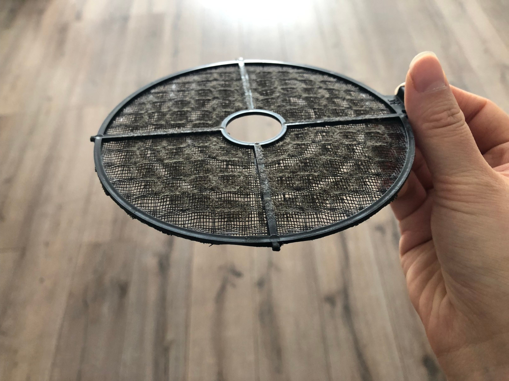 家里去毛絮小妙招,为什么家里的毛絮有很多