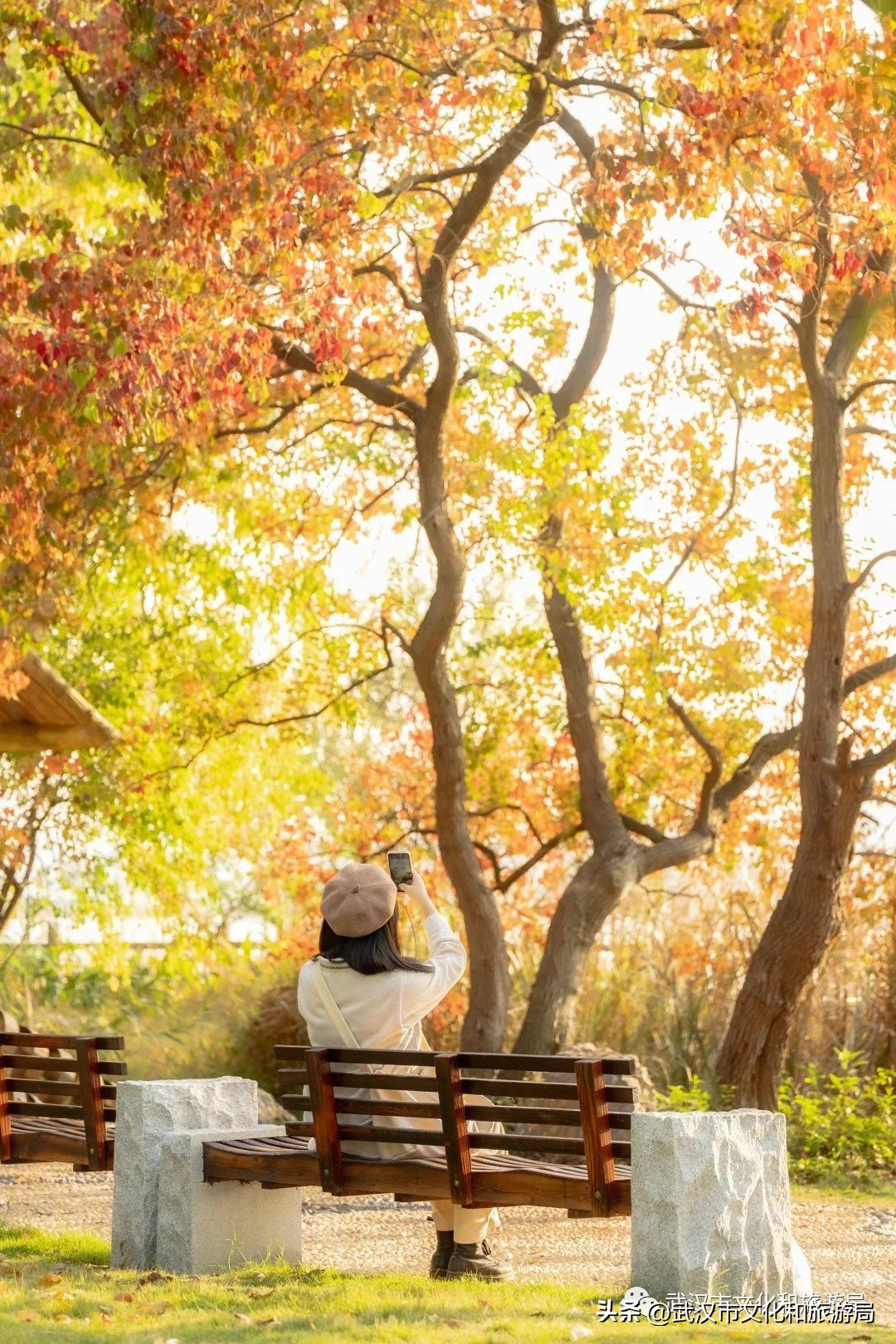 明天出太阳，到东湖捡叶子去！