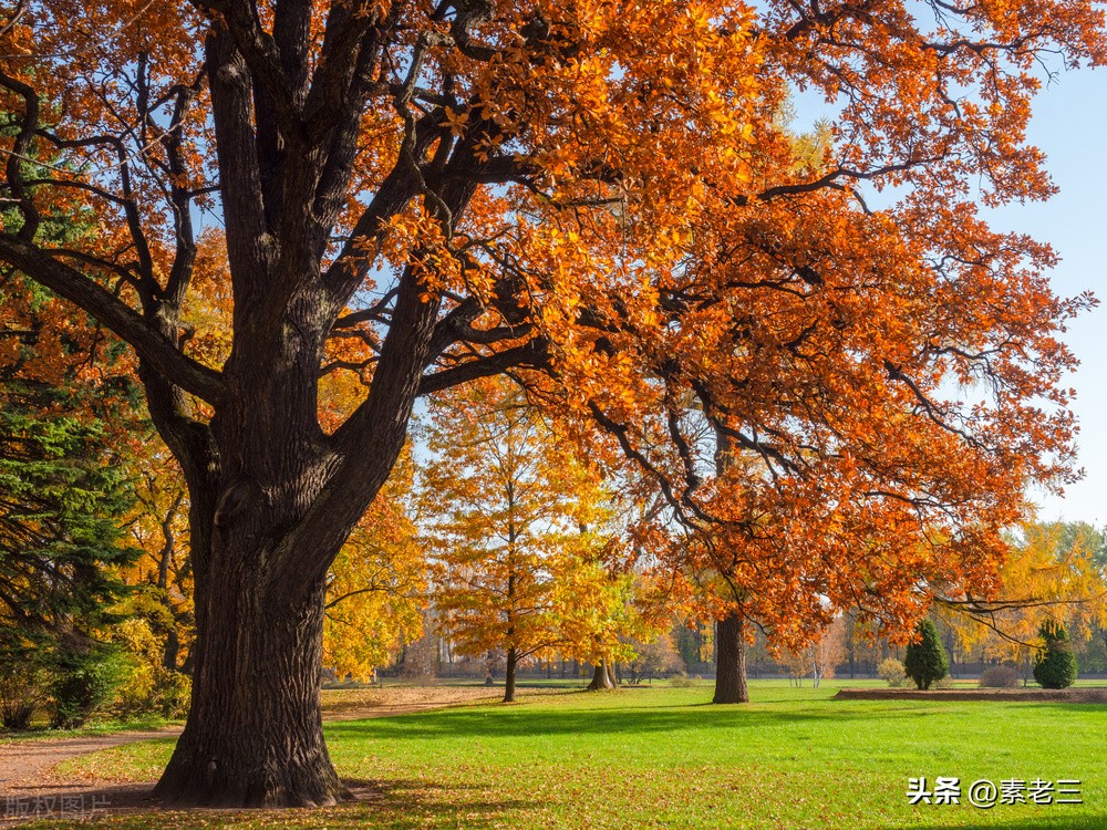 女作家去做保姆474,女作家去做保姆583