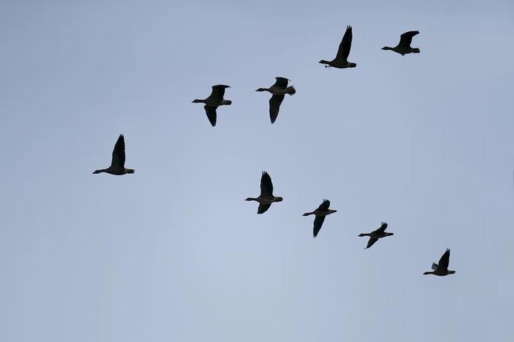 日本和韩国经济实力哪个最强,日本和韩国战斗力哪个强